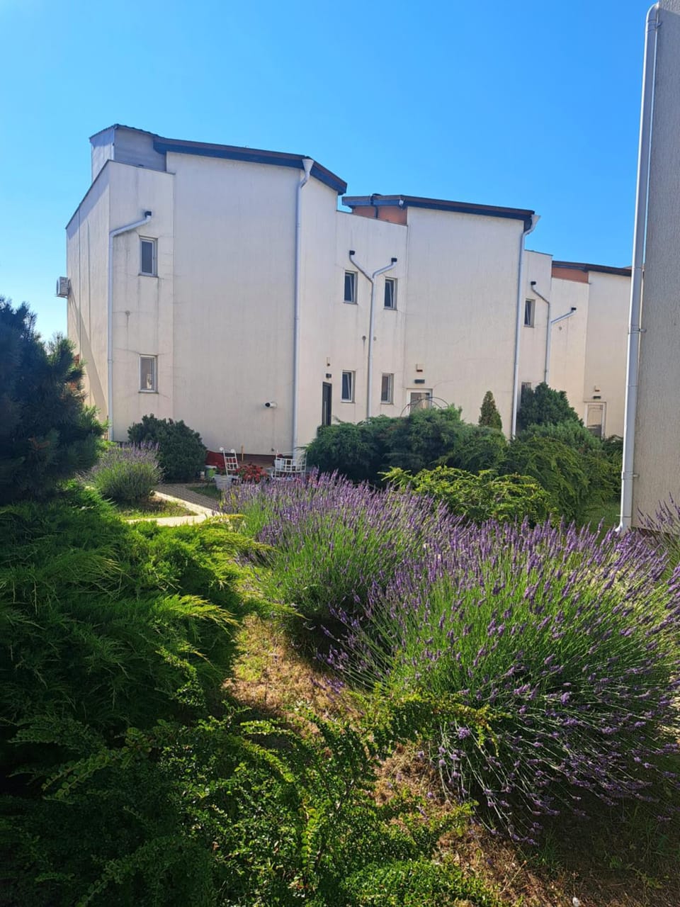 Property building, Garden view