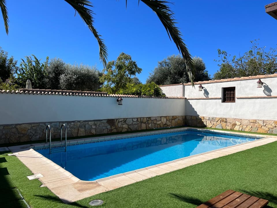 Day, Garden, Pool view, Swimming pool, Swimming pool