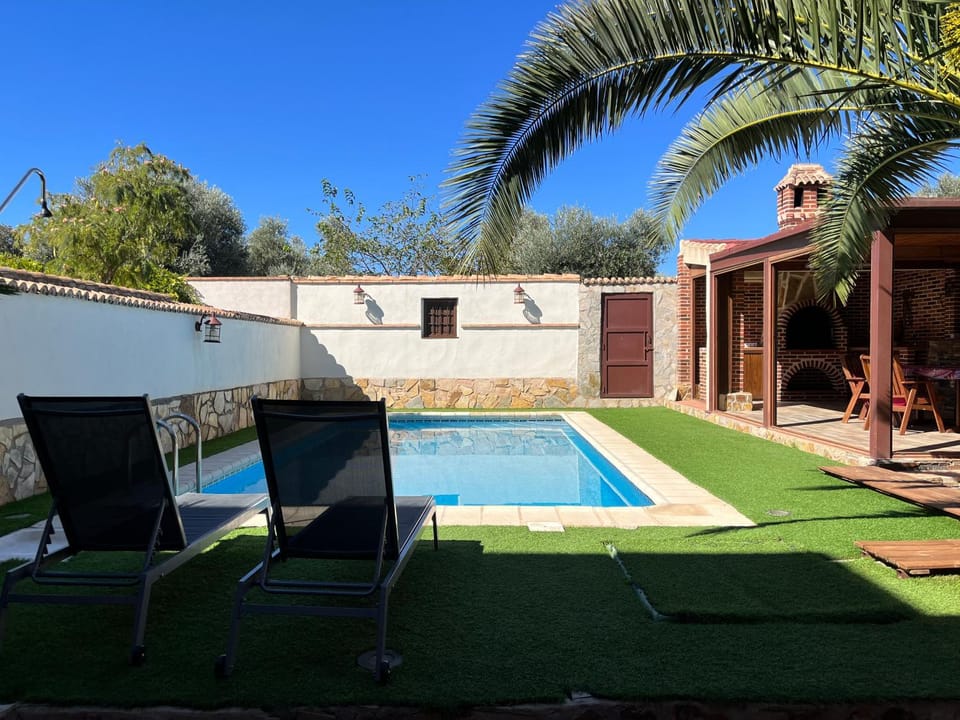 Garden, Swimming pool, sunbed