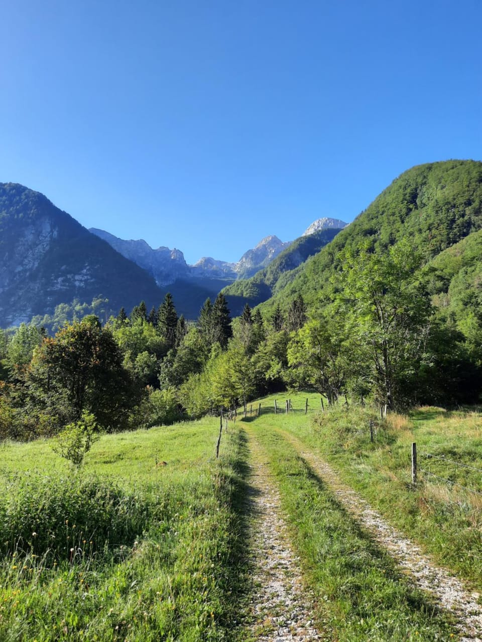 Natural landscape