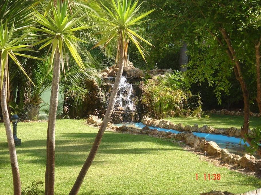 Garden view