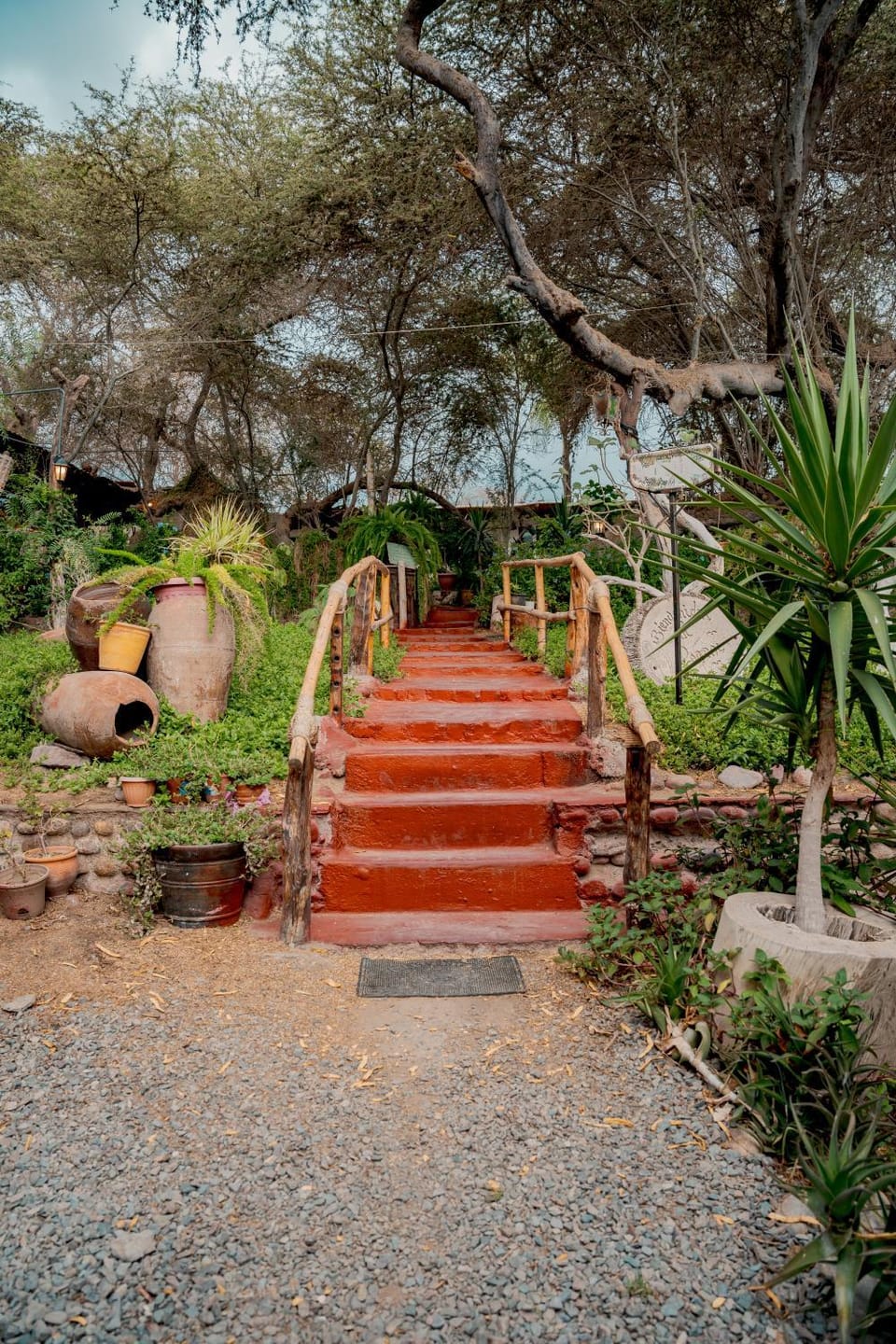 Day, Garden