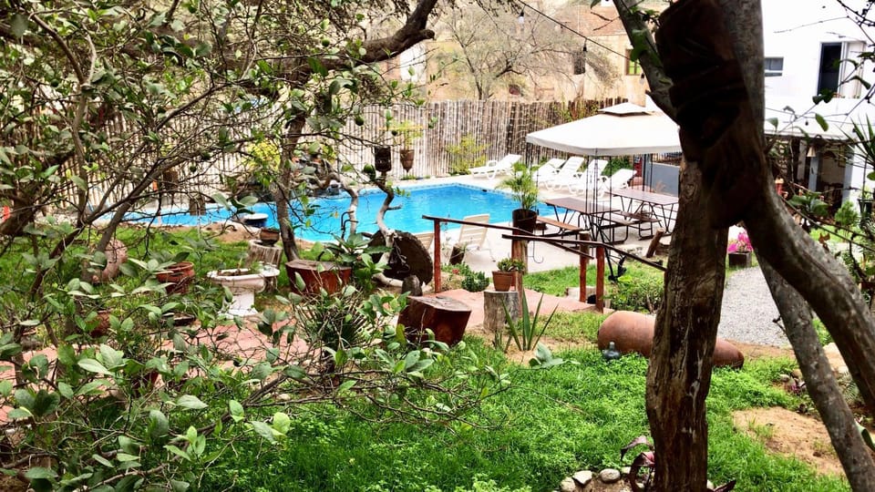 Garden view