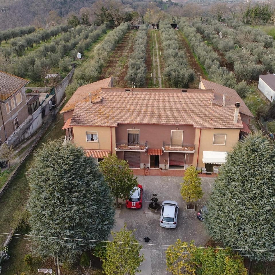 Day, Bird's eye view