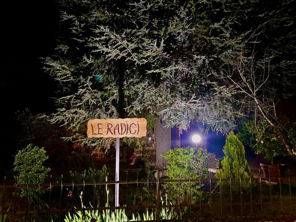 Night, Street view