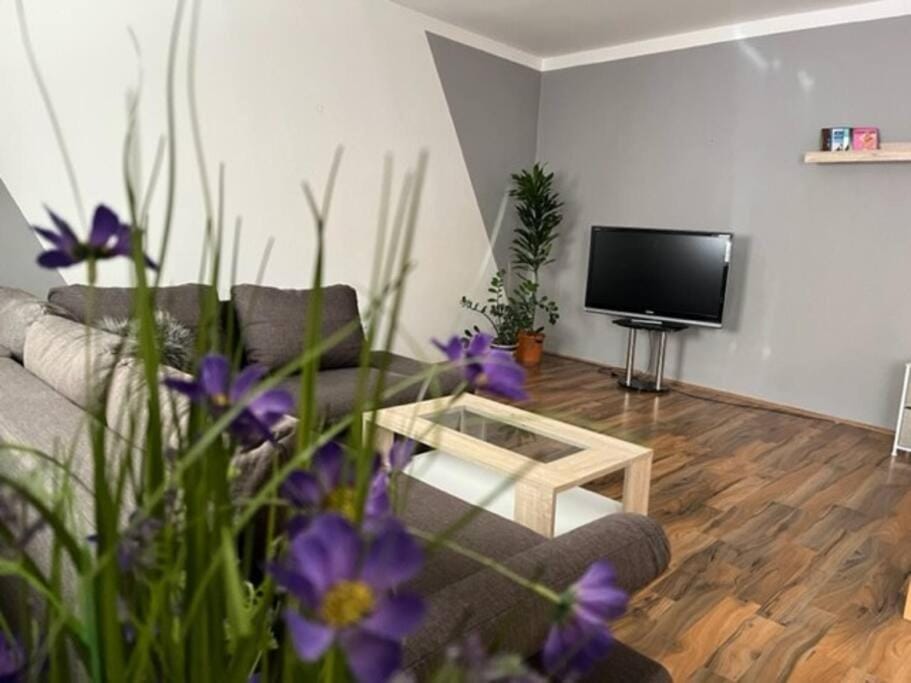 Communal lounge/ TV room, Bed, Living room, Seating area