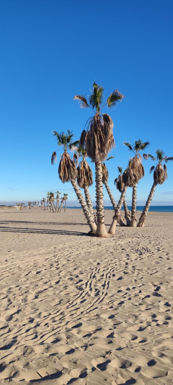 Natural landscape, Beach, Sea view