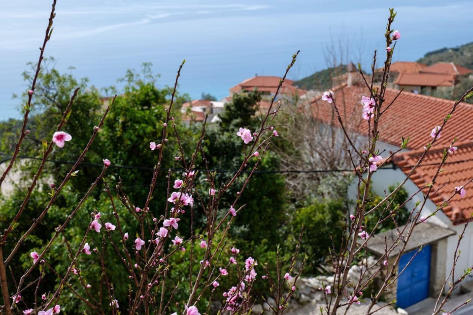 Neighbourhood, Sea view