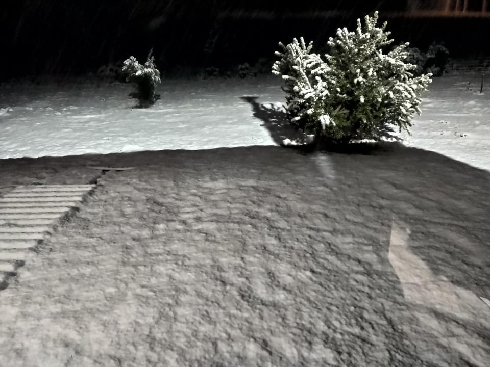 Winter