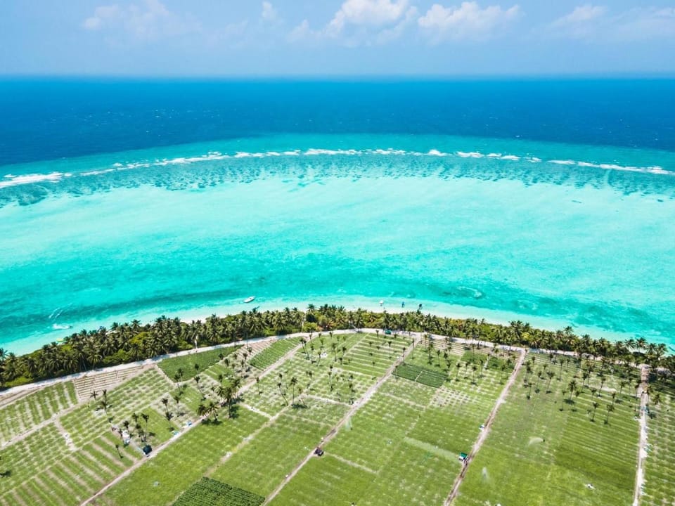 Sea view