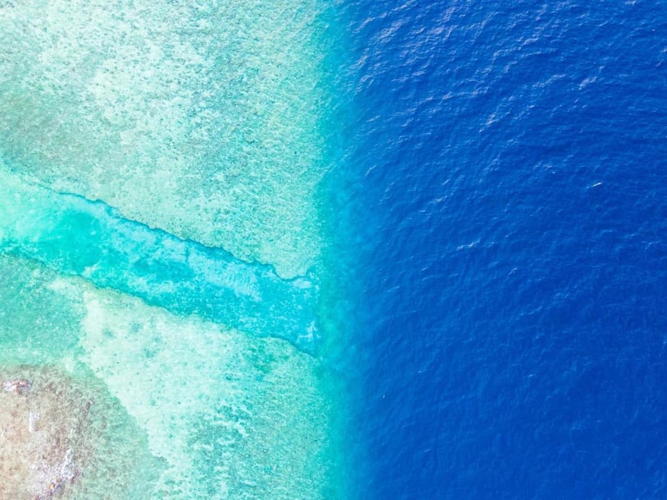 Snorkeling
