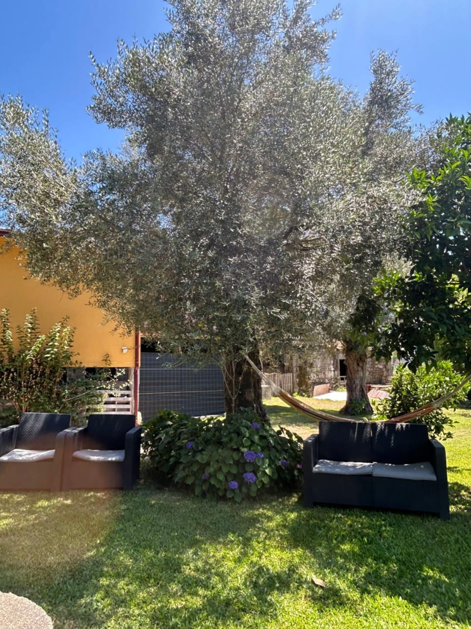 Natural landscape, Garden, Garden view