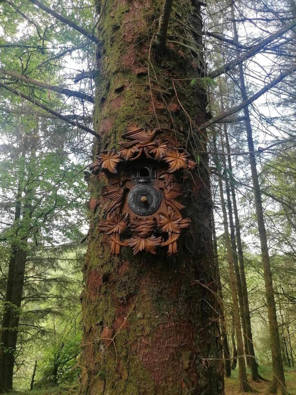 Luxury Rural Ayrshire Glamping Pod Campground/ 
RV Resort in England