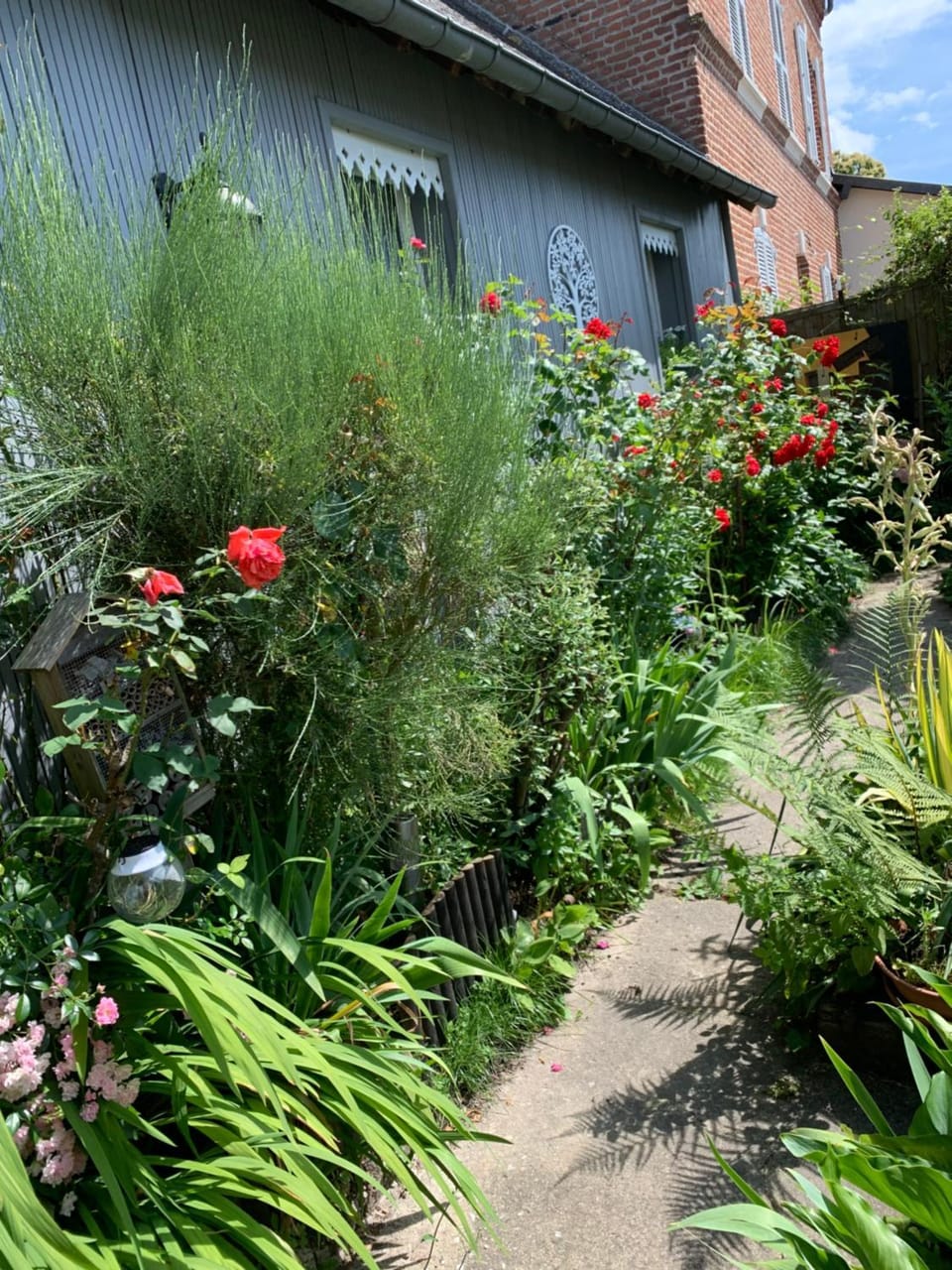 Garden view
