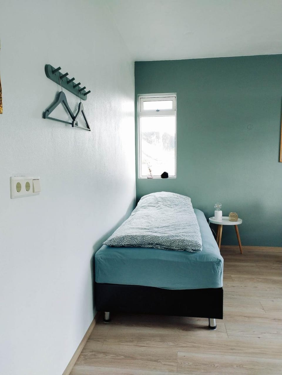 Bergistangi Guest House Bed and Breakfast in Iceland