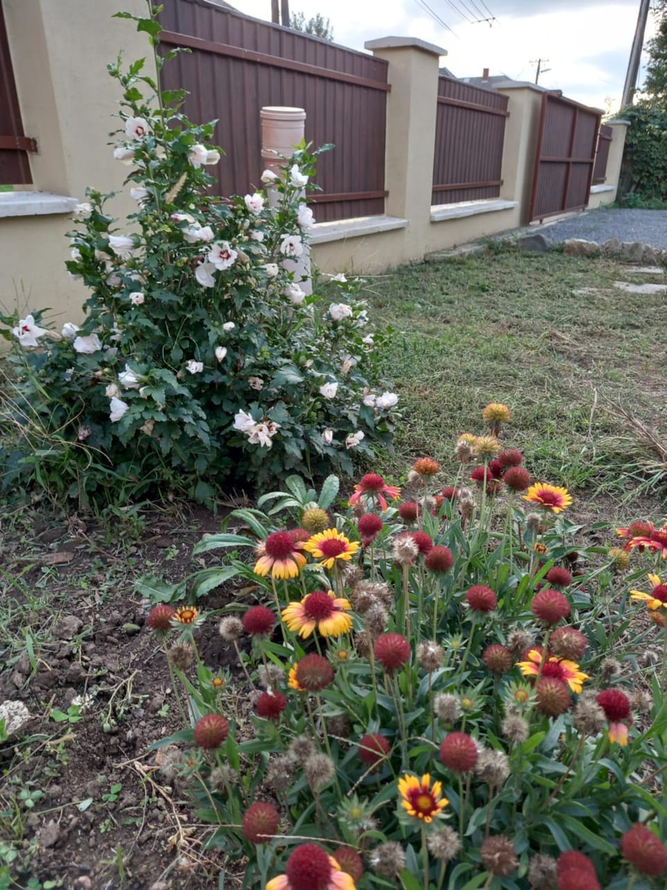 Garden, Garden