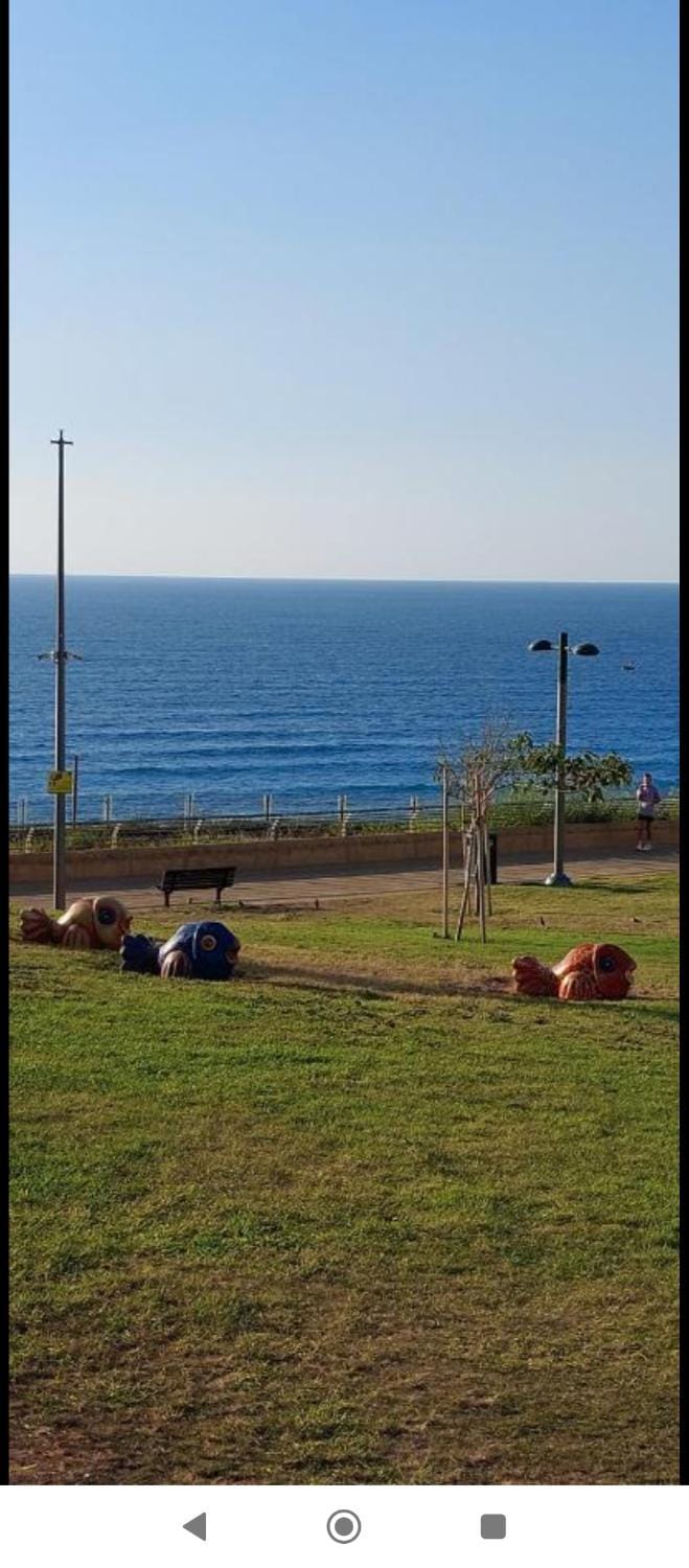 מלון כרמל/מגדל C Apartment hotel in Netanya