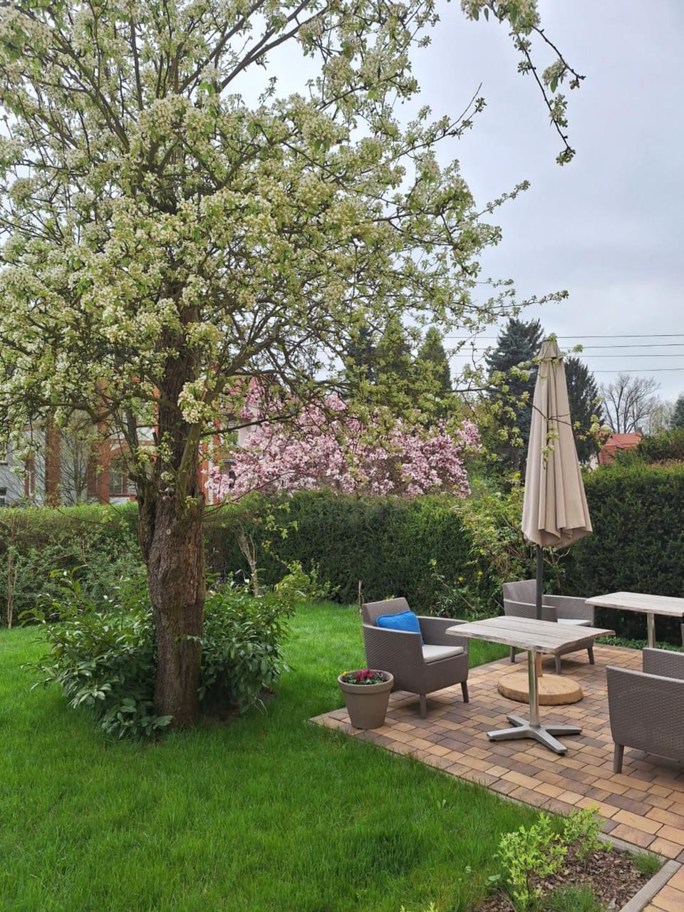 Property building, Spring, Day, Garden, Garden view