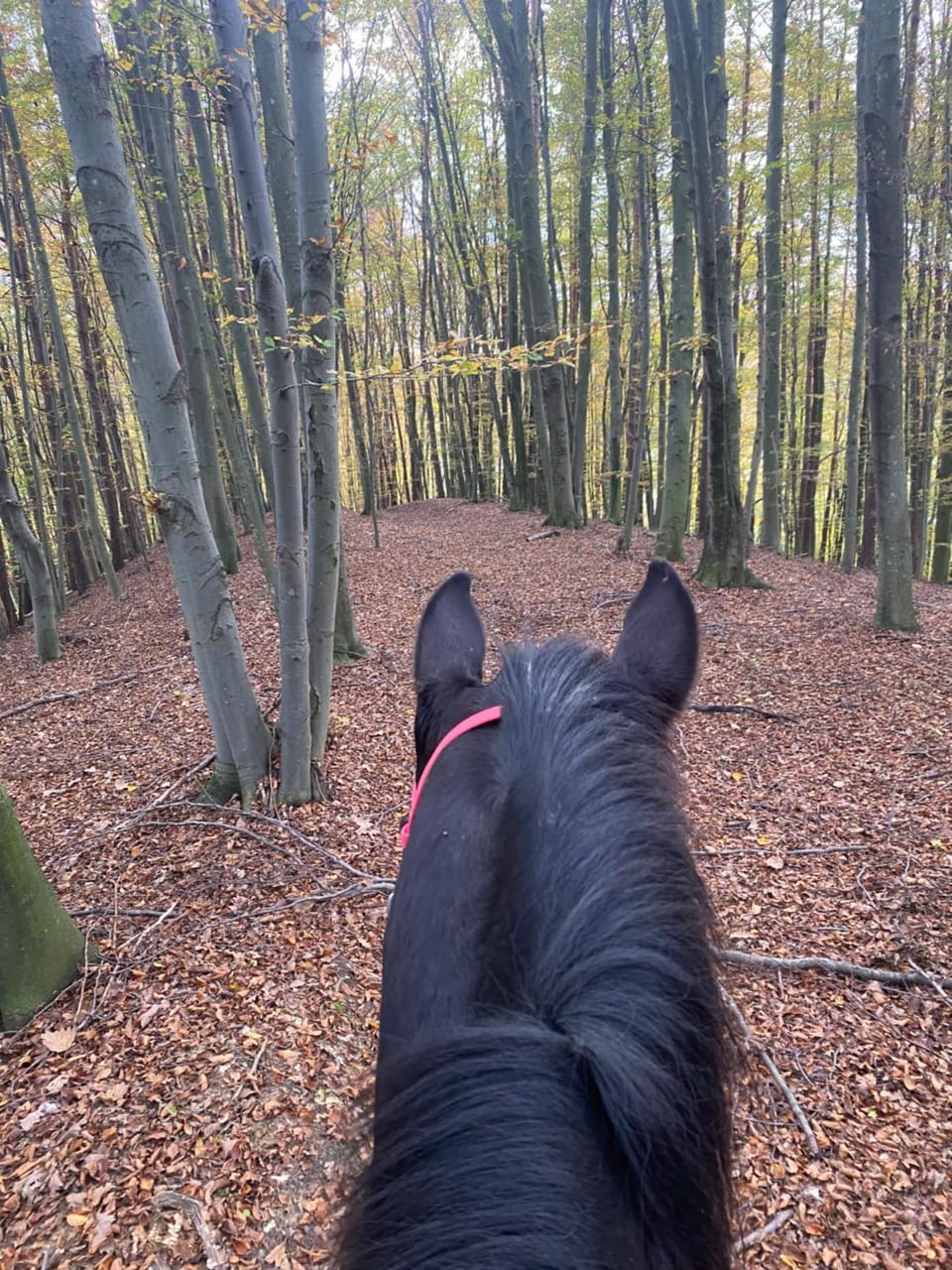Horse-riding