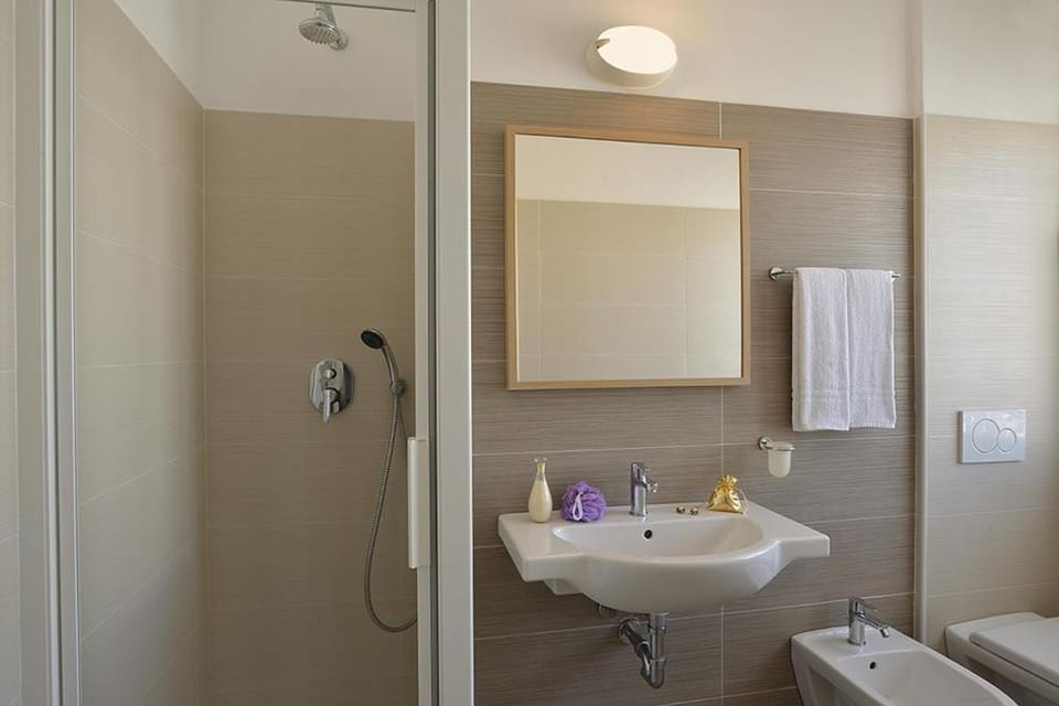 Shower, Toilet, Bathroom, towels