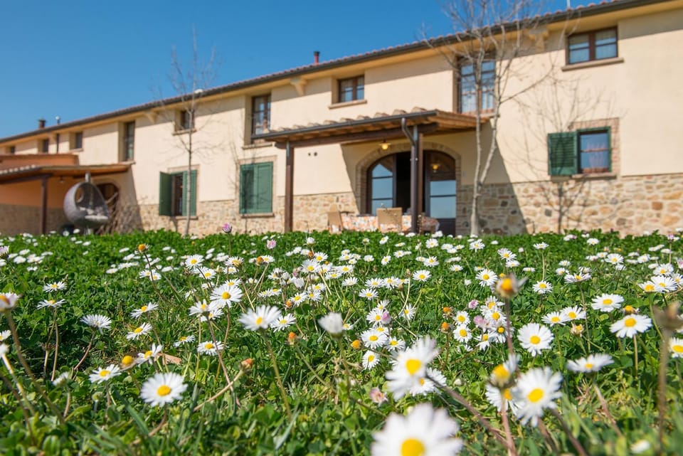 Patio, Garden, Garden view