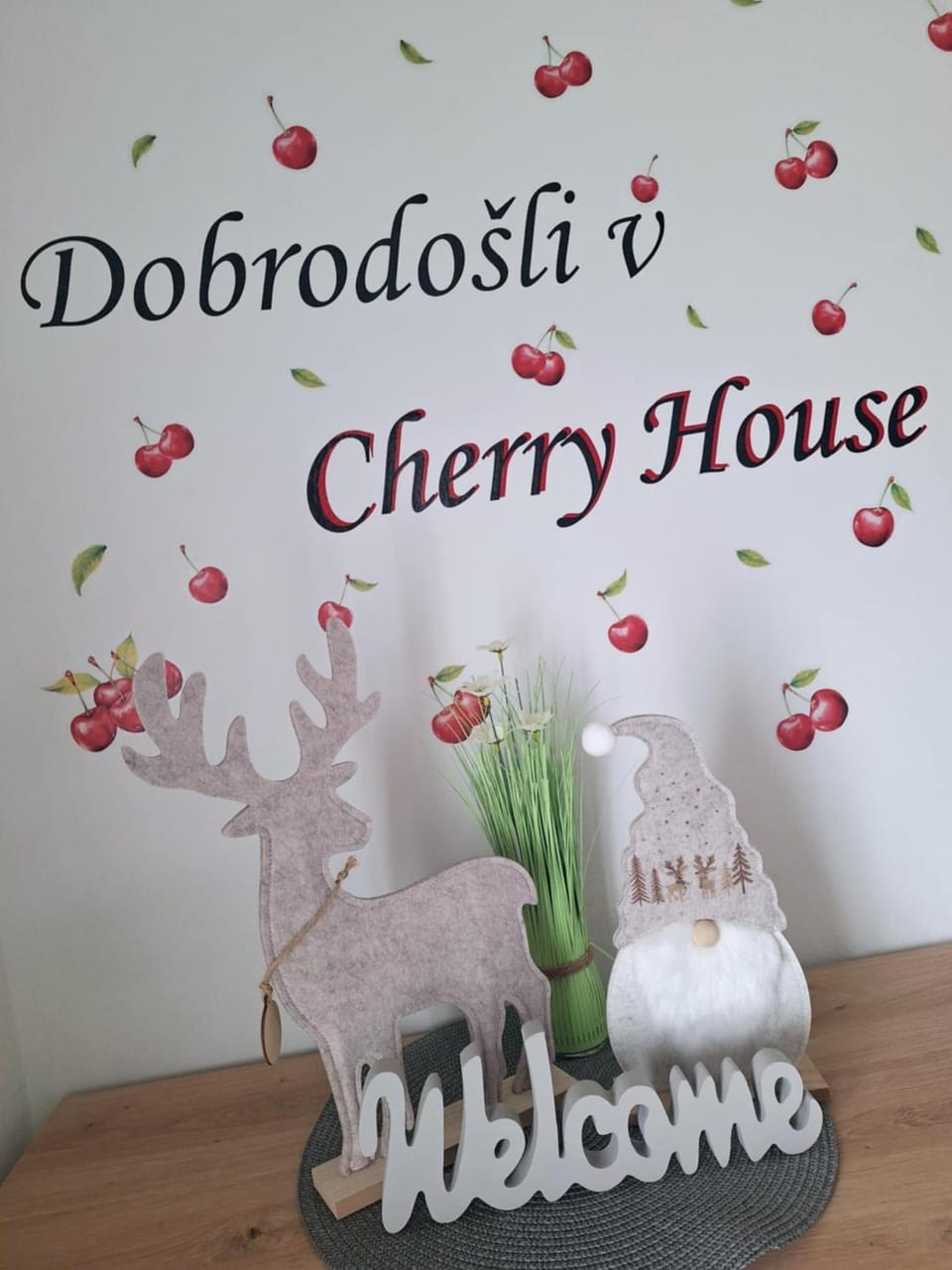 Cherry House Apartment in Slovenia