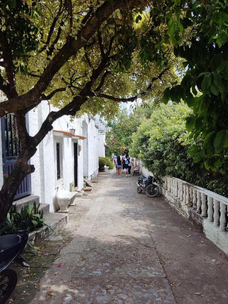 Neighbourhood