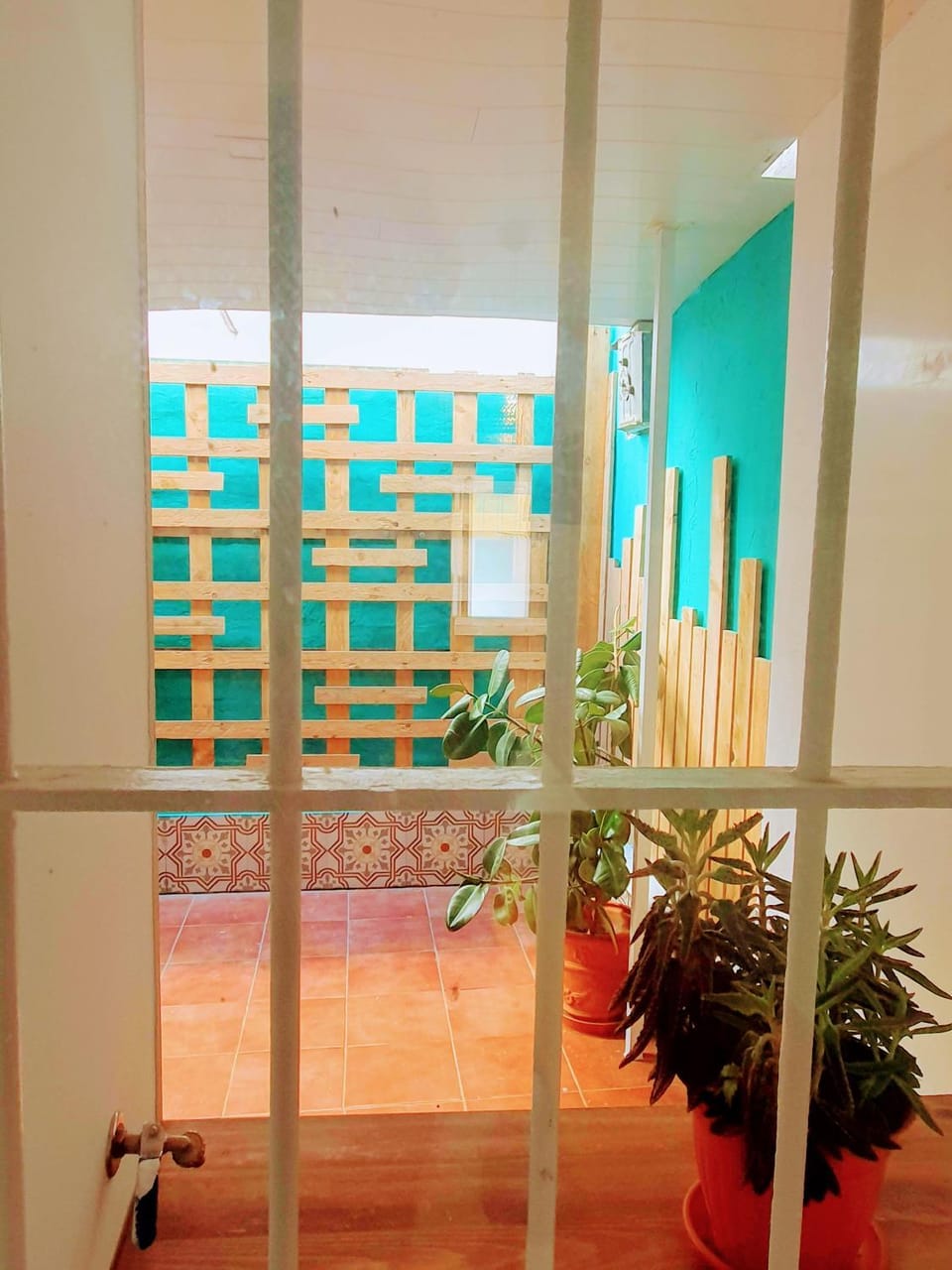 Garden view