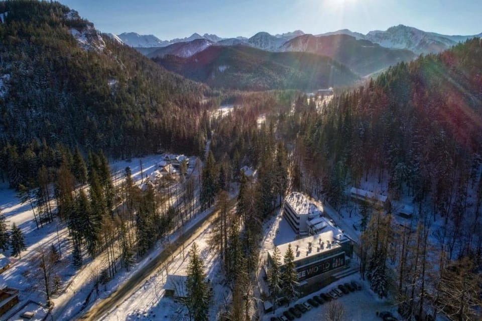 Neighbourhood, Natural landscape, Bird's eye view