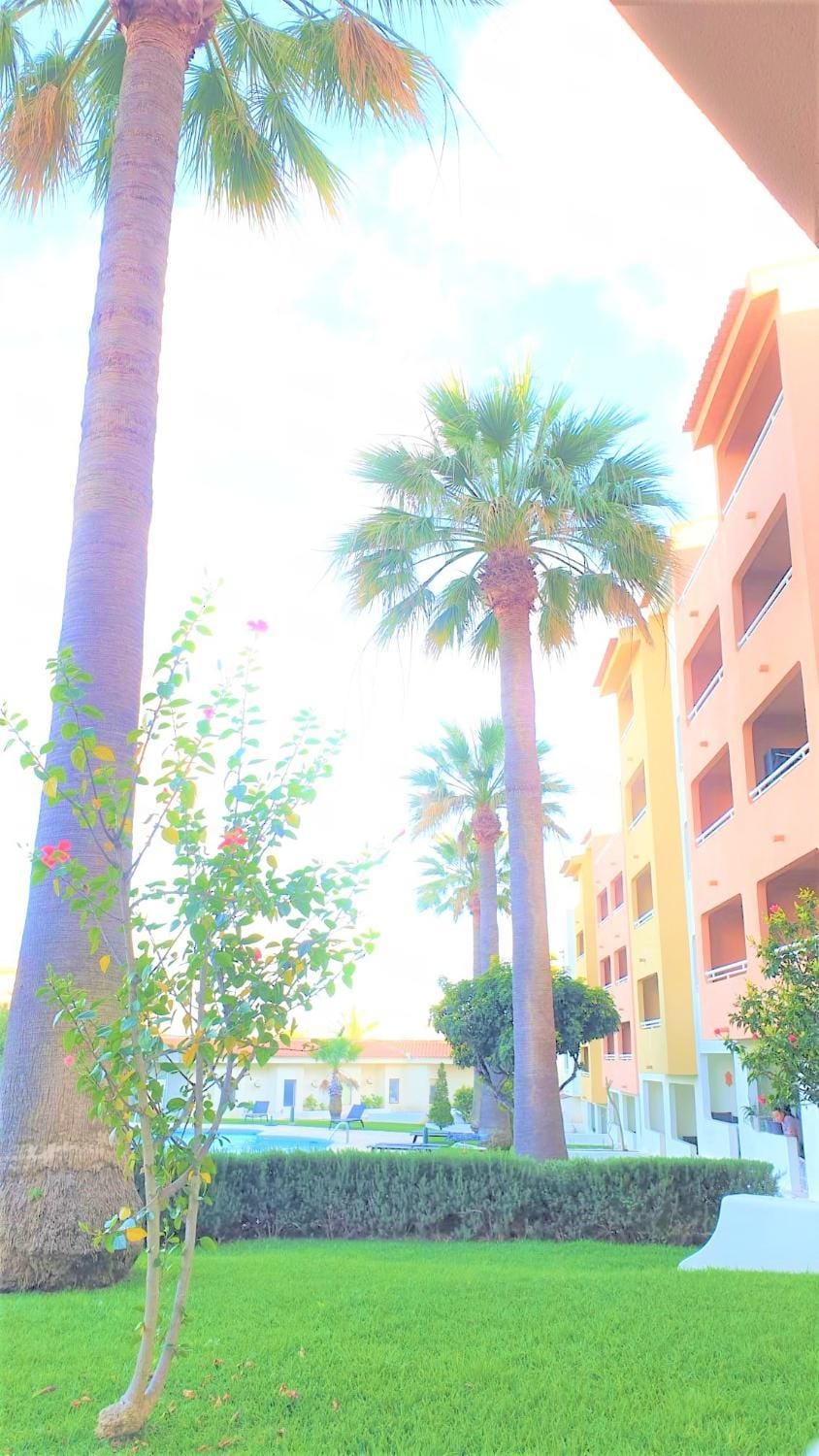 Property building, Garden, Balcony/Terrace