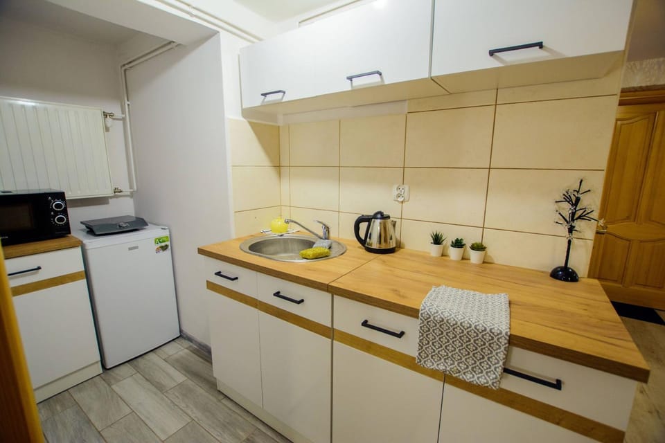 Kitchen or kitchenette, minibar, oven, stove