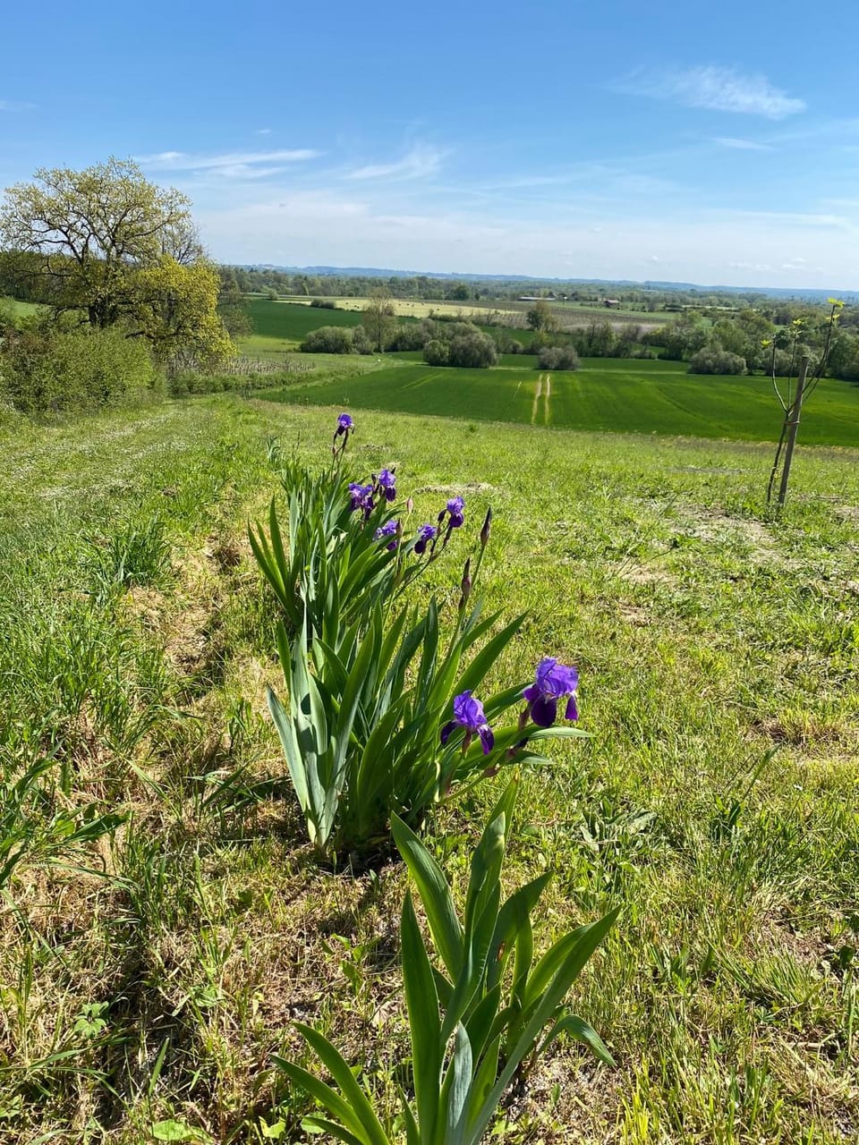 La Vignerie Bed and Breakfast in Nouvelle-Aquitaine
