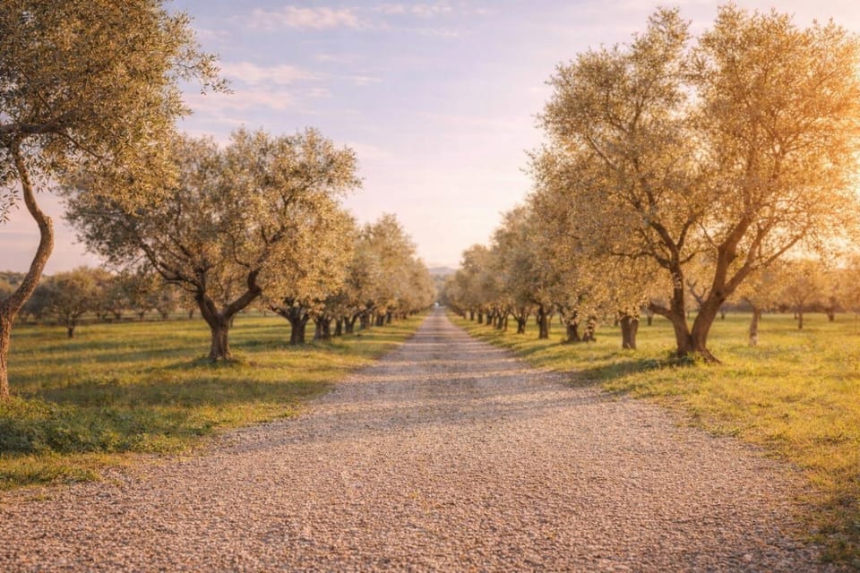 Natural landscape