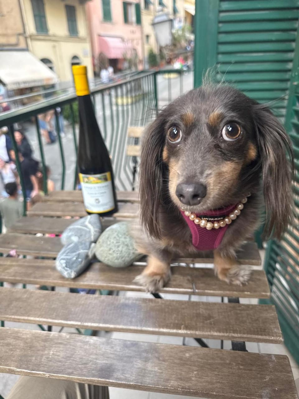 Property building, Balcony/Terrace, Pets