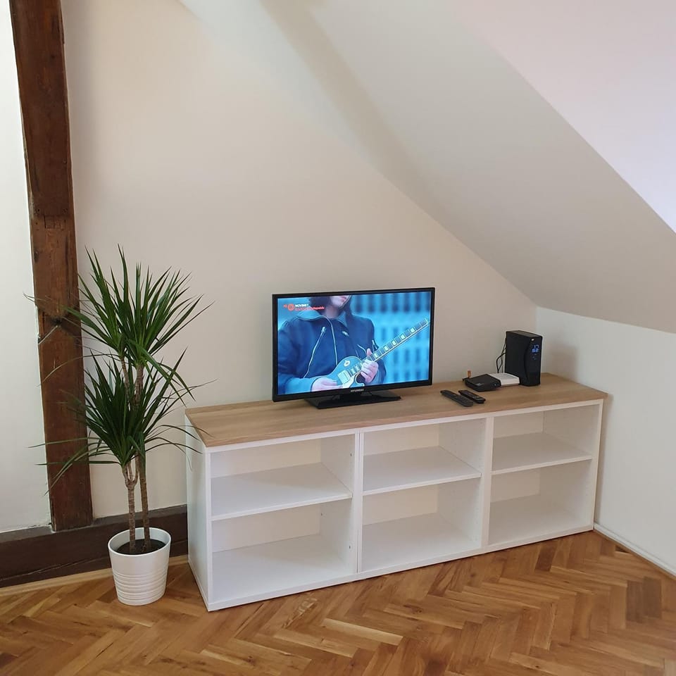 TV and multimedia