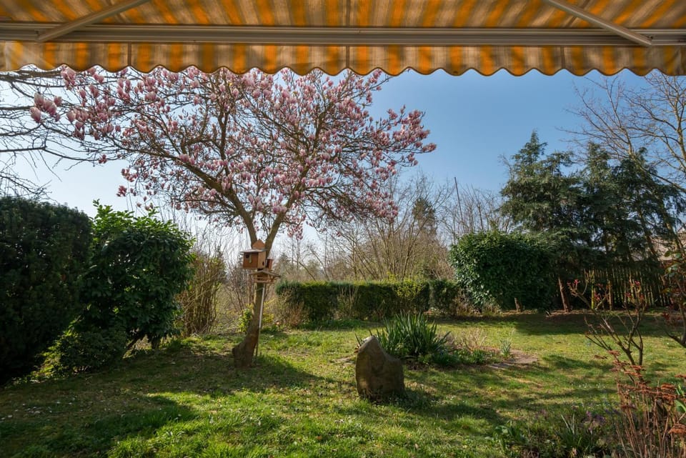 Garden, View (from property/room), Balcony/Terrace