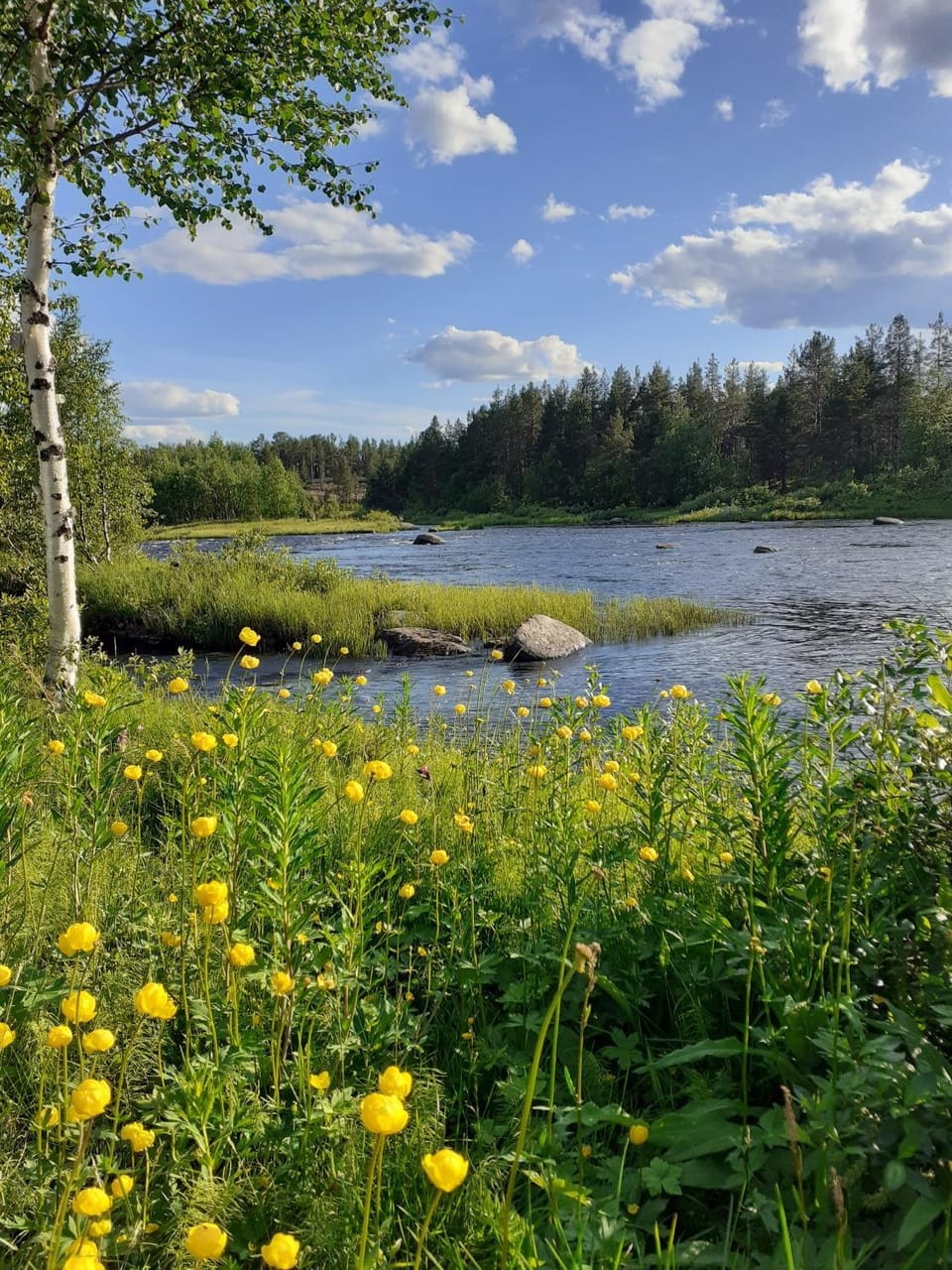 Natural landscape, River view