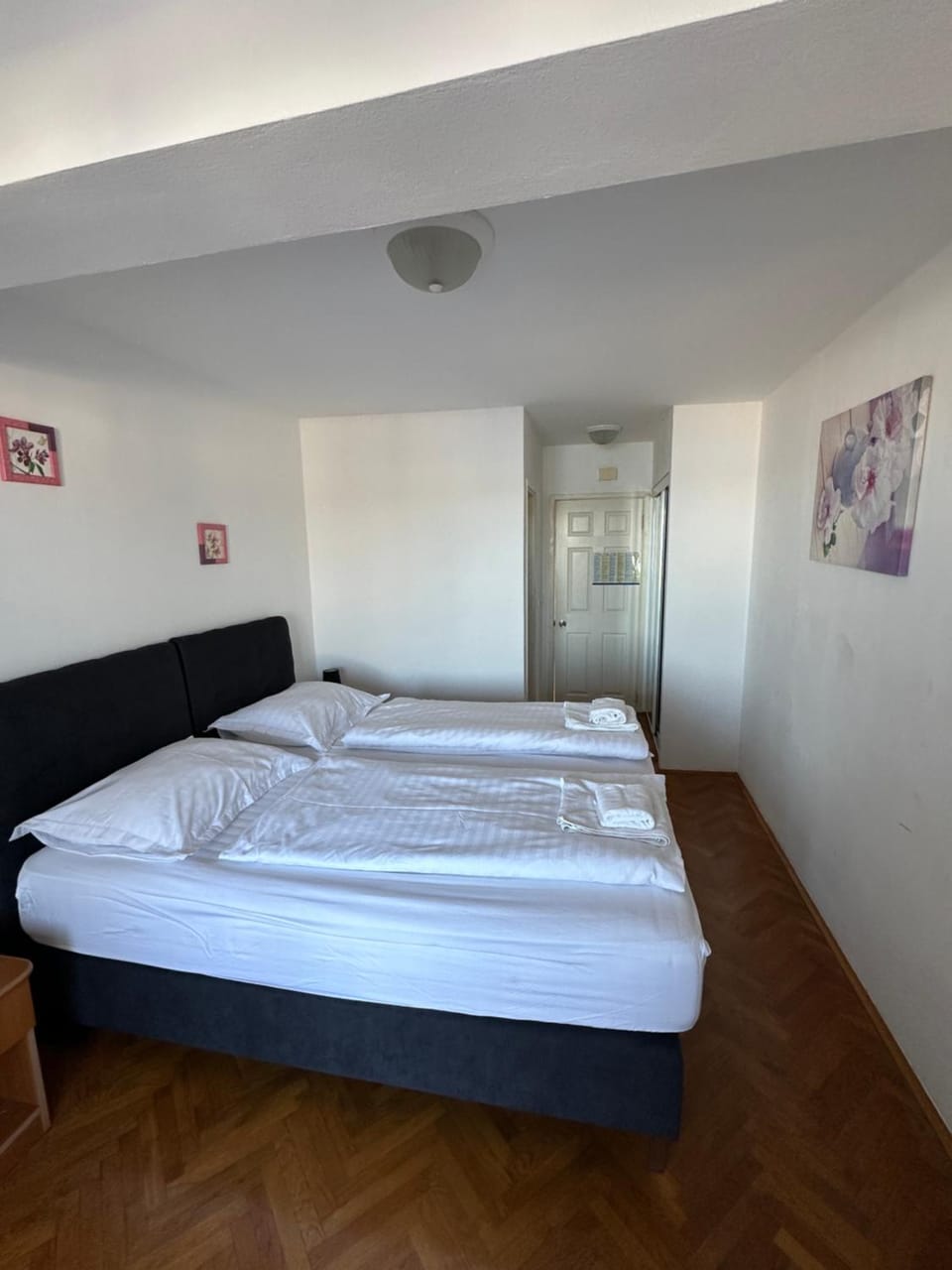 Apartment and rooms SIDRO Apartment in Zadar County