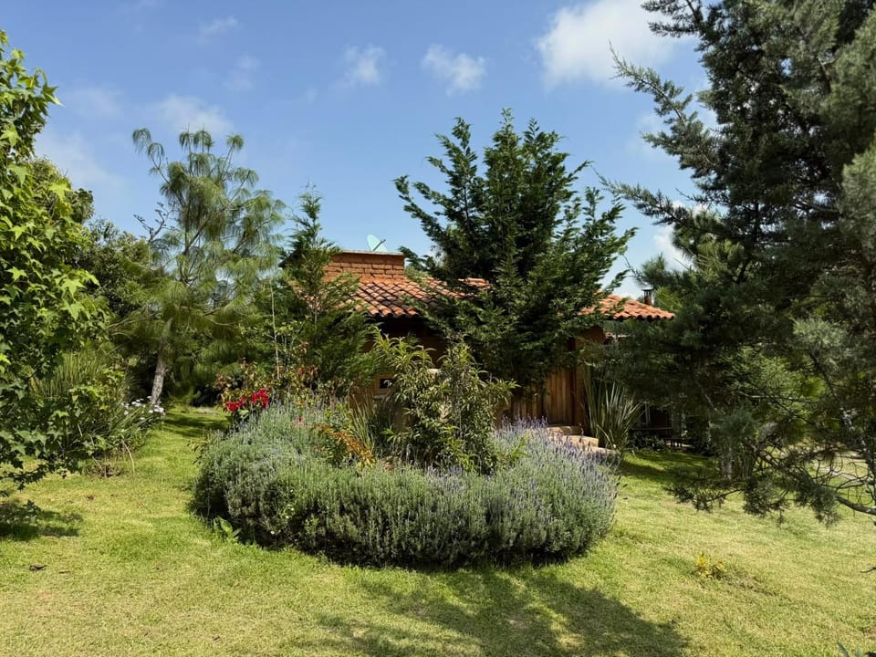 Cabaña Puma Tapalpa House in State of Michoacán