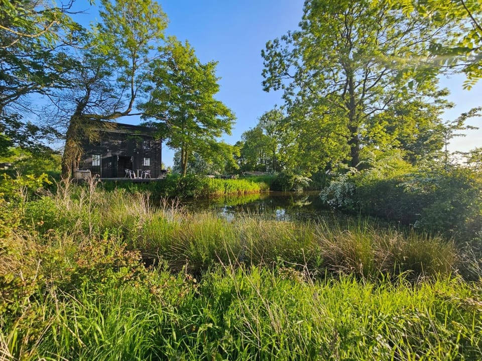 The Water Shack - Amazing tiny house retreat Apartment in Mid Suffolk District