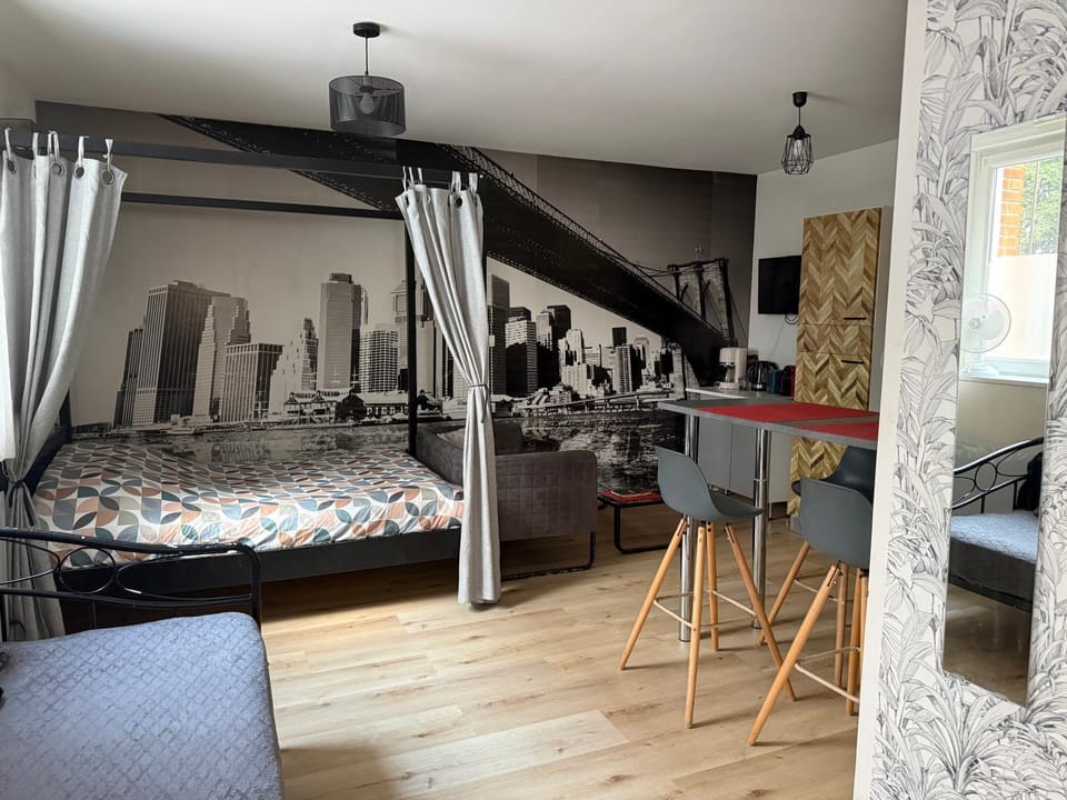 Charmant studio proximité centre-ville et gare Apartment in Grand Est
