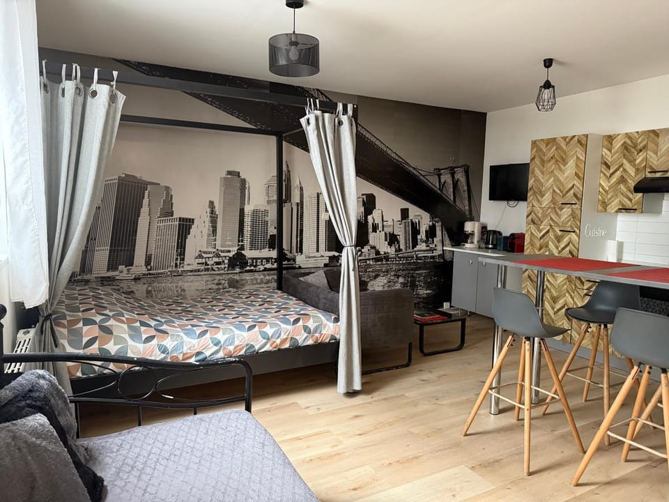 Charmant studio proximité centre-ville et gare Apartment in Grand Est