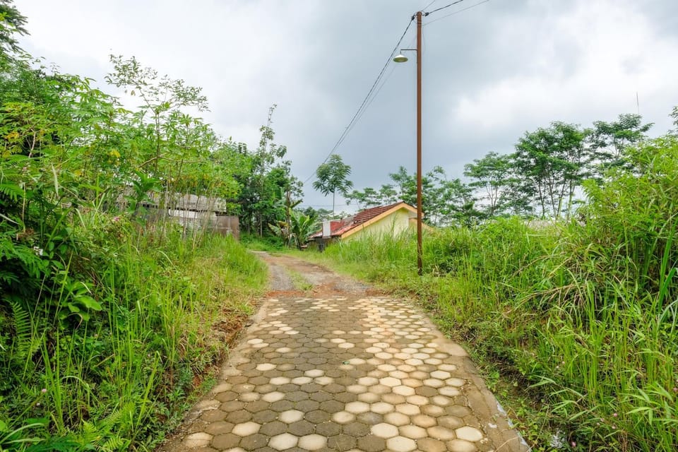 Natural landscape
