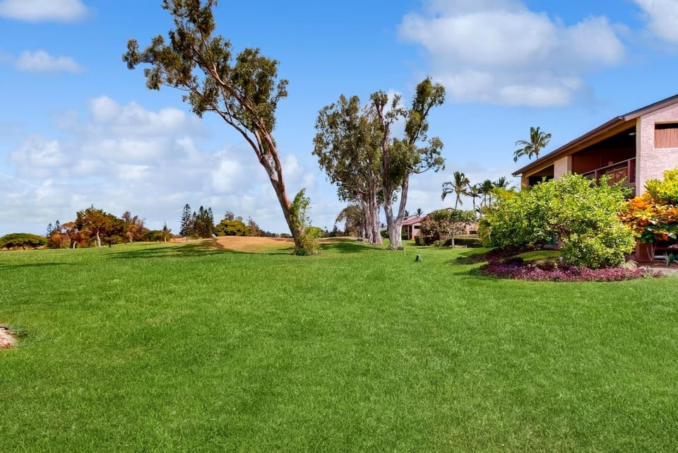 Waikoloa Villas #H202 House in Waikoloa Village