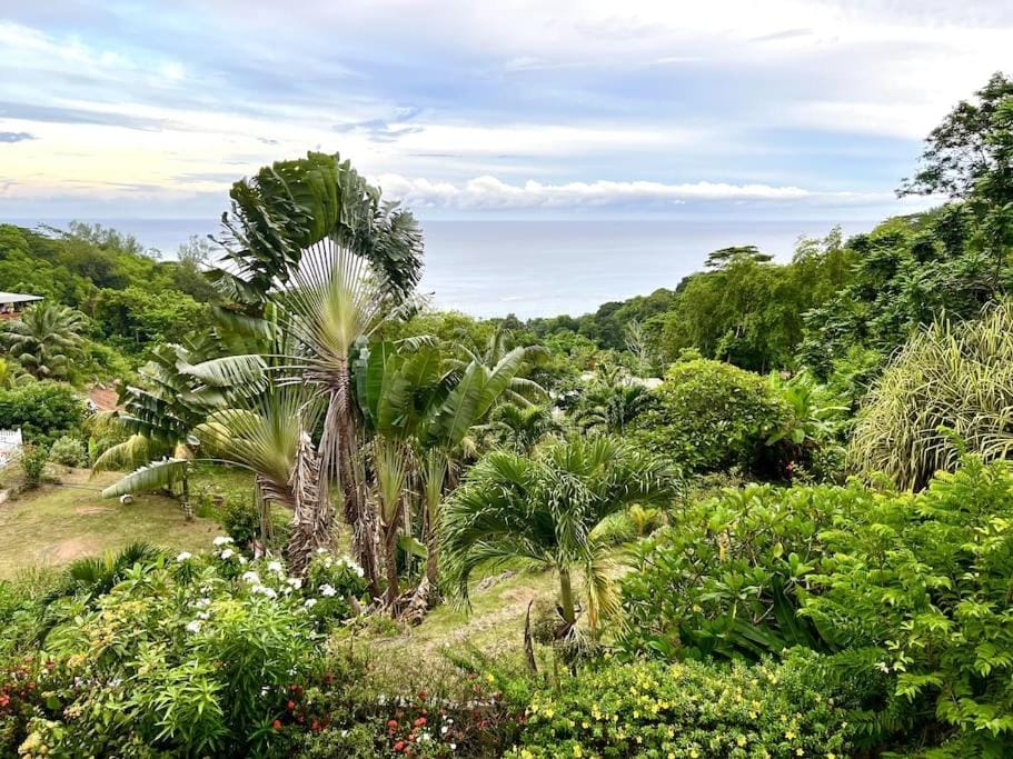 Natural landscape, Garden