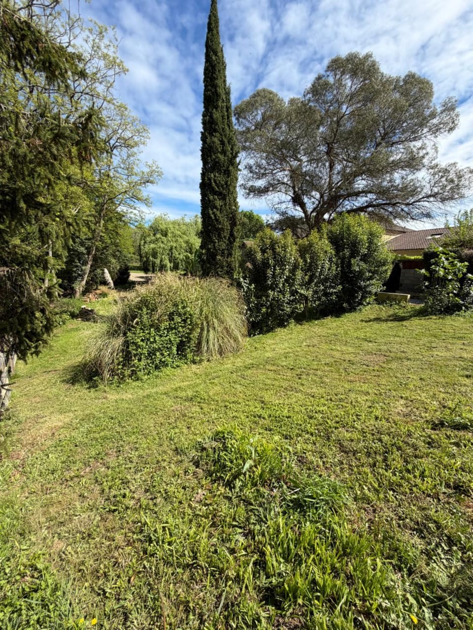 Natural landscape, Garden, Garden view