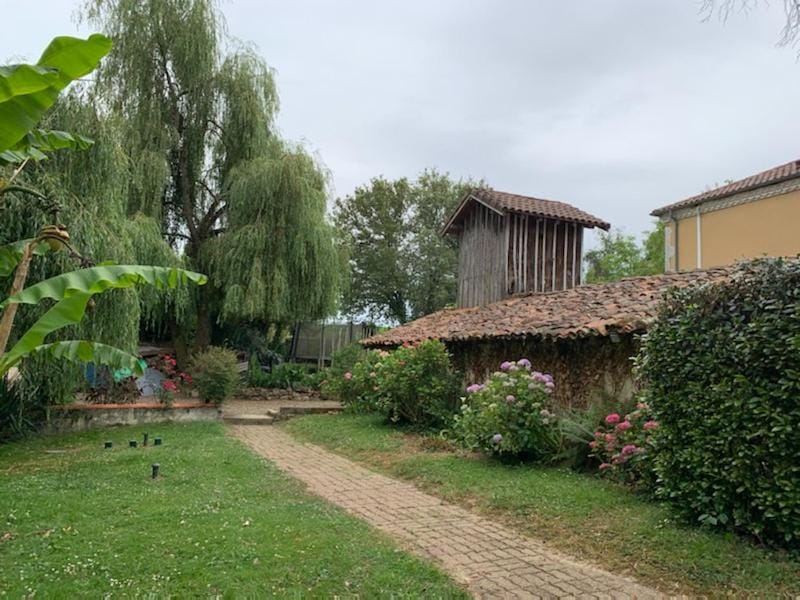 Spring, Garden, Garden view