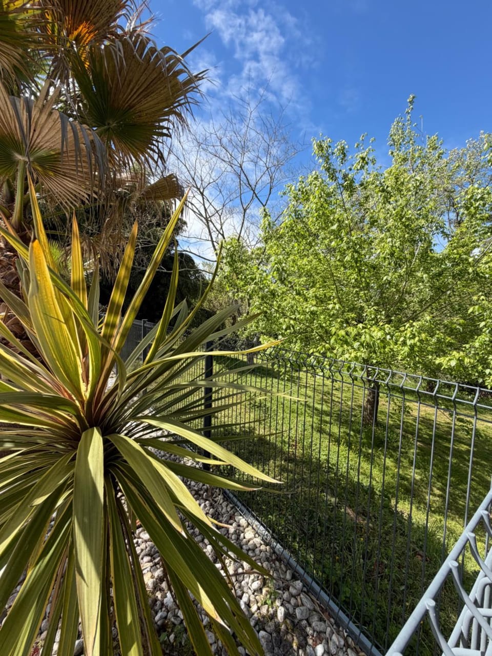 Day, Natural landscape, Garden, Garden view