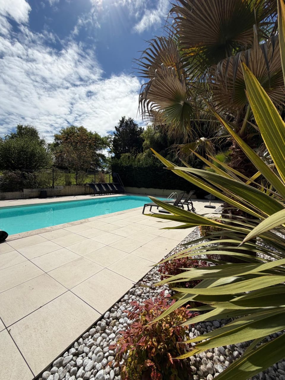 Garden, Garden view, Pool view, Swimming pool, sunbed