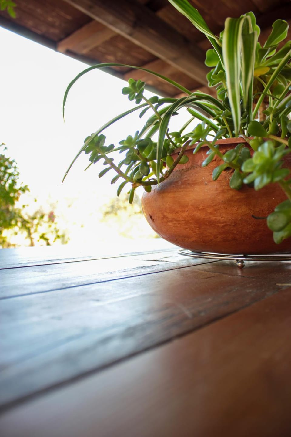 Day, Garden, Balcony/Terrace